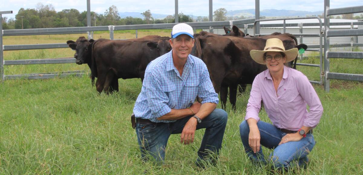 Ben and Alice Roughan run 250 F1 Angus cross to full blood Wagyu cows under their 'Wivenhoe Wagyu' banner. PiIcture Helen Walker