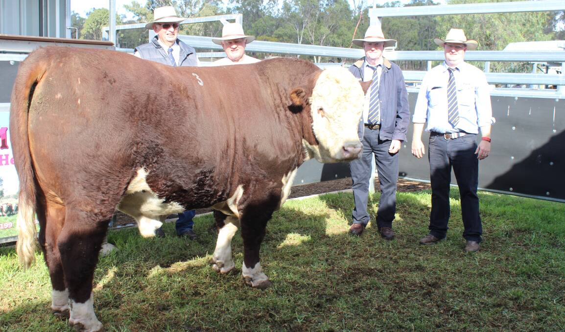 Vendor Hilary O'Leary with Bob Nixon Wallen Creek Herefords, Drillham, Owen Bronkhurst and Mark Duthie of GDL, and equal topped priced bull Remolea Kenworth. 