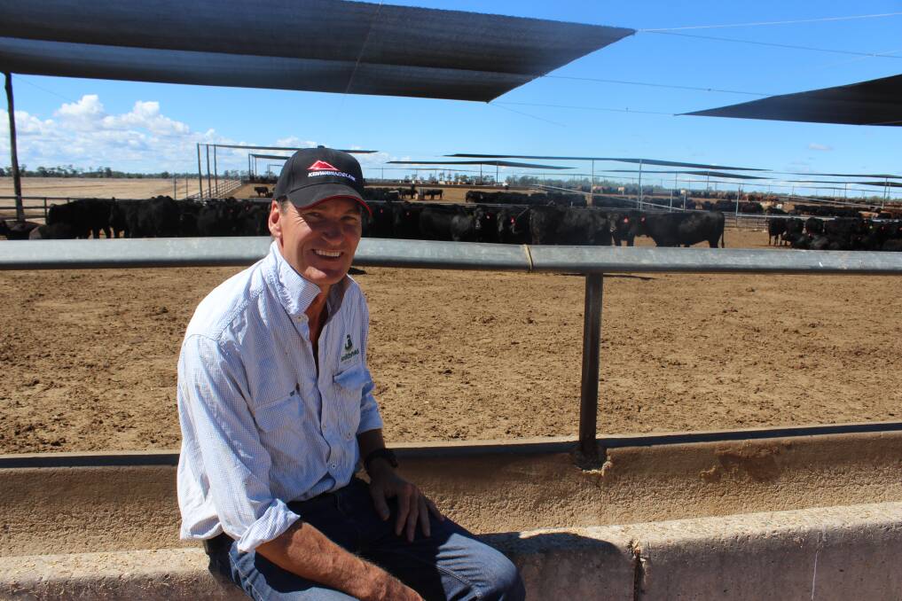 Smithfield family member Don Madden, Smithfield Cattle Company in front of the Sapphire Feedlot pens covered under shade cloth at a calculated cost of $70 a head. Picture Helen Walker