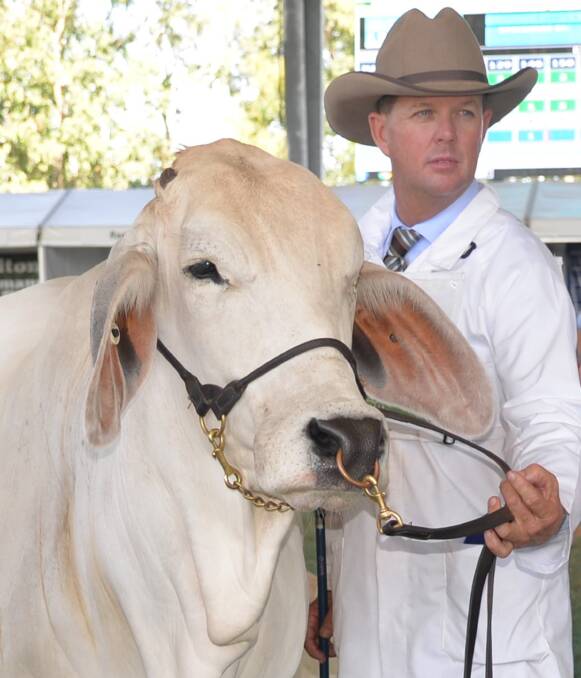 Central Queensland cattleman, Brett Nobbs, NCC, Duaringa, will officiate as the judge for the interbreed champion of champions at this year's stud cattle judging at the Ekka.