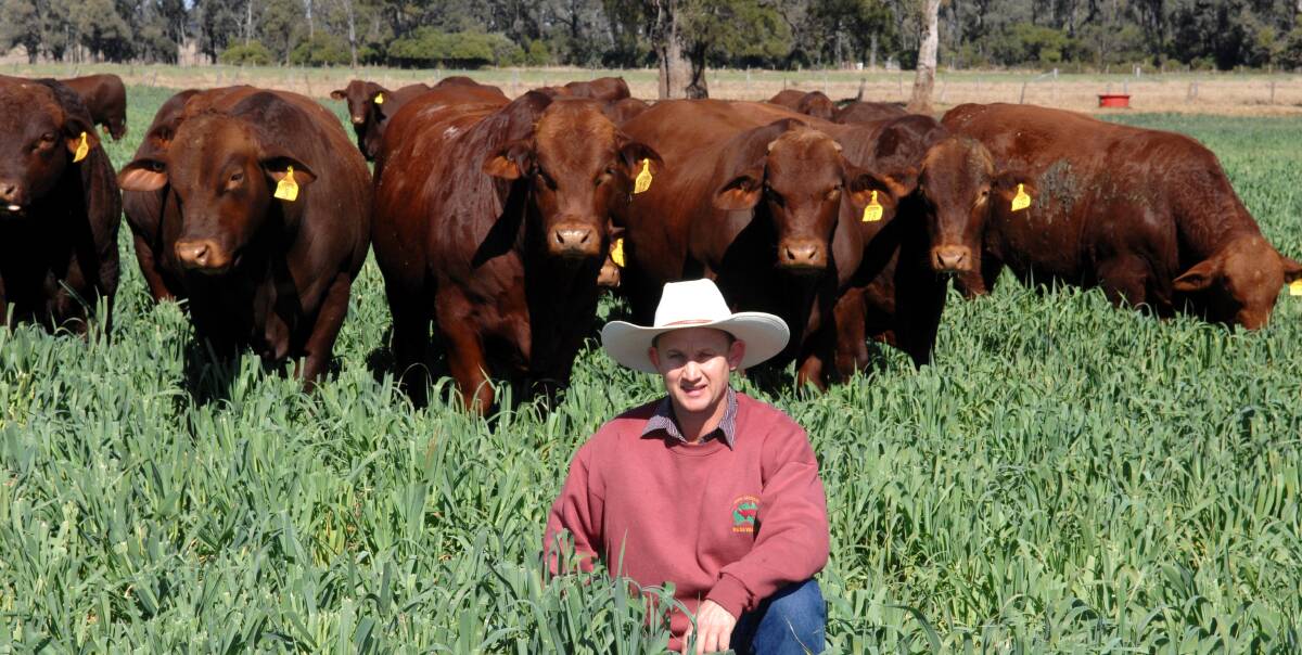 David Greenup, Rosevale Santa Gertrudis Stud, Jandowae, fully embraces performance recording within his breeding herd, and does his data recording on a yearly plan to tell the true story.