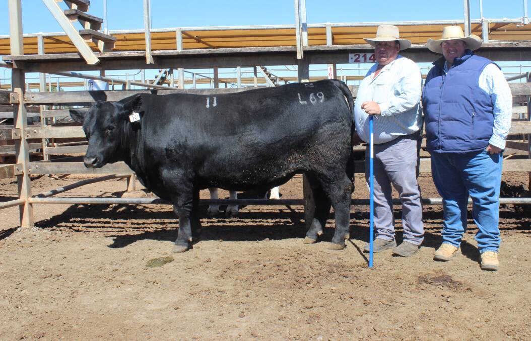 $10,500 sale topper K5X Line of Duty with co-vendor Stephen Hayward, and Travis Luscombe.
 