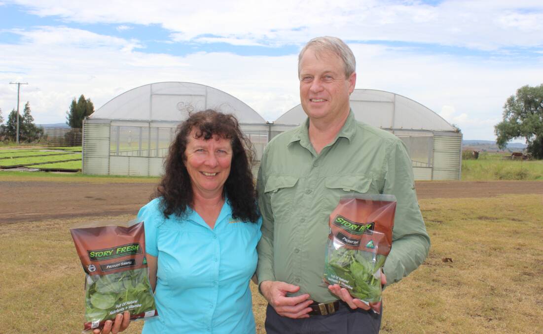 Salad days: Cambooya's Geoffrey and Anne Story are writing another exciting chapter of their Story Fresh success as they find more outlets for their supermarket fresh-cut salad products in Asia. Picture: Helen Walker.