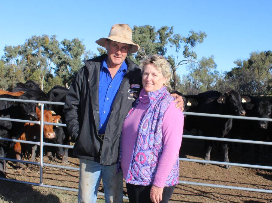 ON FARM: Chris Bartlett at home on Bowenville Park and grateful that wife Felicity was able to keep their cattle operation in check while he was on the rally.