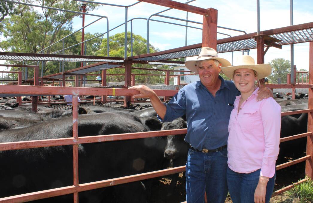 Don and Felicity Russell, Warwick Park Grazing, Liston offered 57 Angus steers aged nine months old straight off their mothers. With an average weight of 352 kilograms, these steers averaged 401 cents/kilogram, for an average of 401.4c/kg returning $1414/head. Picture Helen Walker.