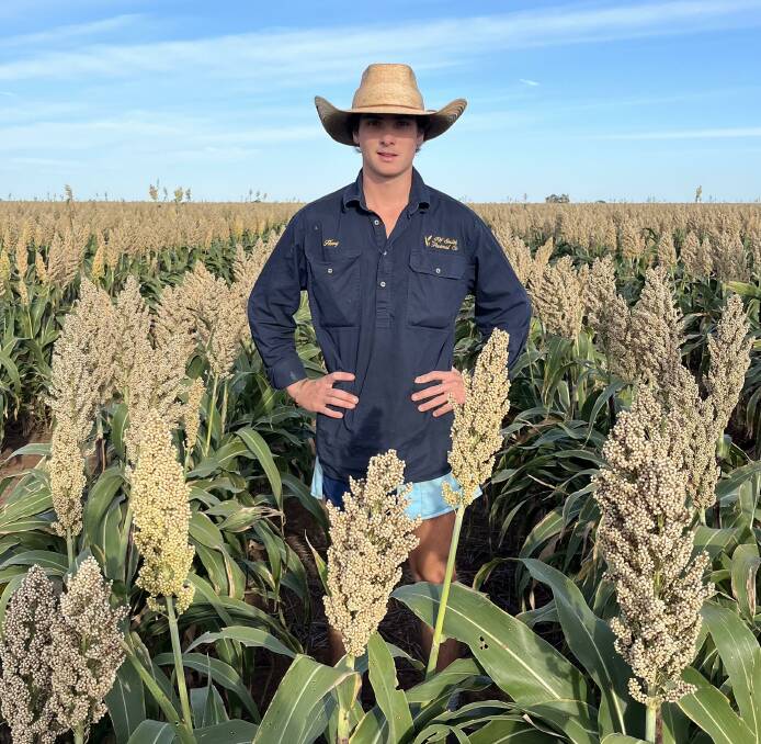 Henry Smith, Alma Downs, North Star, in a crop of Liberty white sorghum. Picture supplied.