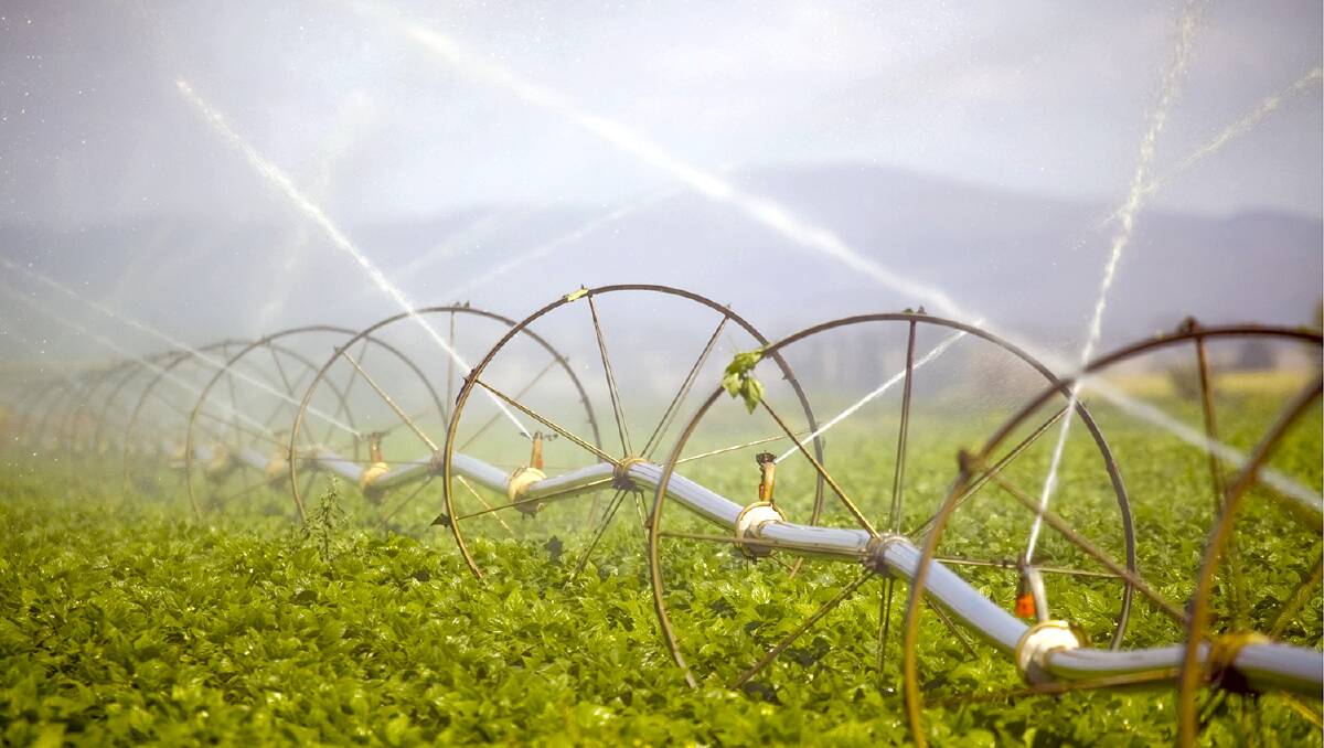 Uncertainty remains around the irrigation price path for 2020 to 2024, with Natural Resources Minister Dr Anthony Lynham saying the decision will be made in time for new prices to commence from July 1 this year. 