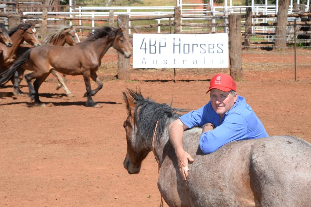Joe Hughes, 4BP Horses, Belarabon Station, Cobar, with some of the horses he trained recently in hopes of changing the conversation around the control of wild horses.