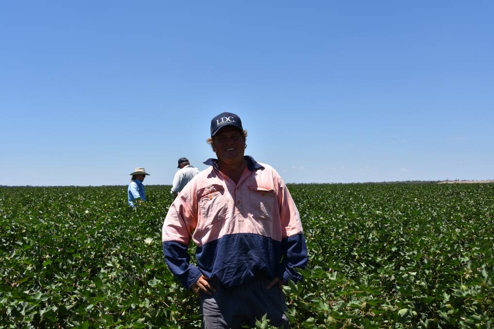 Brett Corish in a cotton field at his family's property, Mundine, Goondiwindi, which has reached four nodes above white flower. 