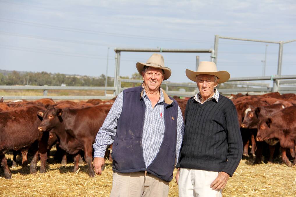 Sandy Munro, Weebollabolla Shorthorns, Moree, and Ian Murray, Kindee Pastoral Company at Tuesday's Roma store sale where Mr Munro brought more than 200 steers.