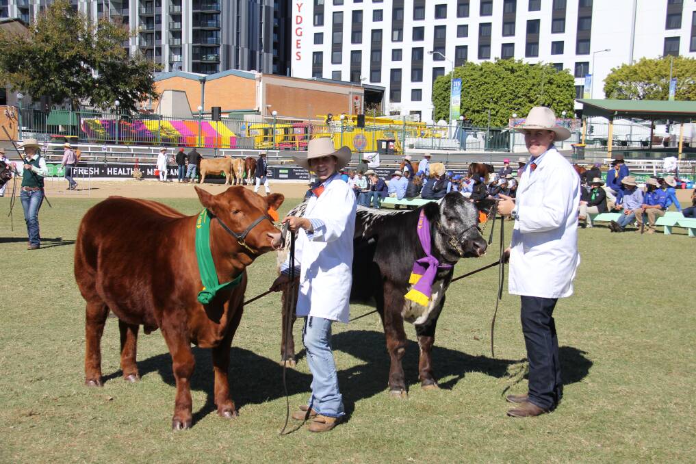 The winning West Moreton Anglican College steers. 