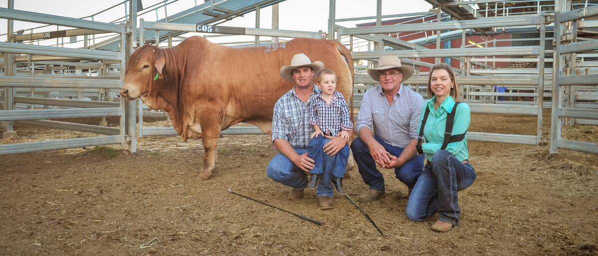 Top price bull, Oasis Dundee, with vendors Adam, Archie and Noel Geddes, Oasis Droughtmasters, Emerald, and buyer Gayle Shann, Lamont Droughtmasters, Cantaur Park, Clermont. Photo - Kelly Butterworth. 