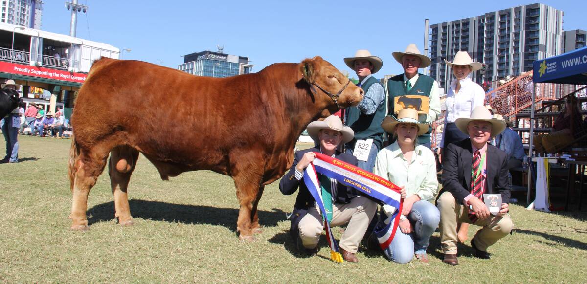 Grand champion Limousin bull A.T Lewis with owner Adam Williamson, sponsor Peter Grant, The Downfall Limousins, associate judge Aimee Bolton, Victoria, Limousin Society representative Jonathan Faris, owner Kahlia Williamson, and Andrew Meara, Elders, Toowoomba. 