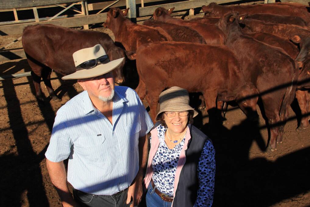 Neil and Lyn Cadzow, Alice Downs, Morven with their cattle.