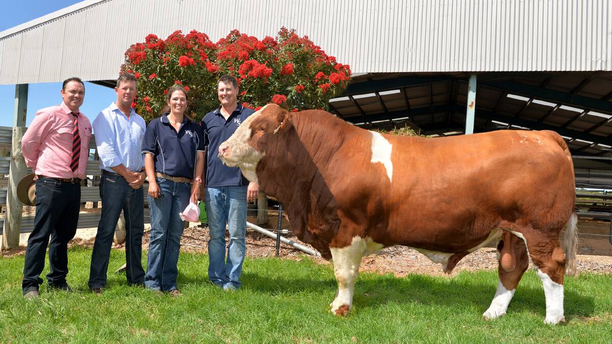 The $160,000 bull with Elders agent Ben Finch, buyer Brett Nobbs, Nobbs Cattle Co, and Woonallee stud principals Lizzy and Tom Baker.