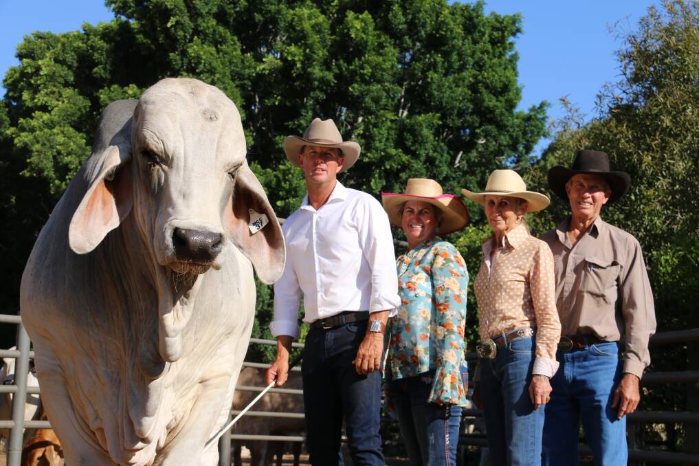 NCC Justified with vendor Brett Nobbs and buyers Brooke, Roger and Lorena Jefferis, Elrose Brahmans, Cloncurry. Picture: Julie Sheehan. 
