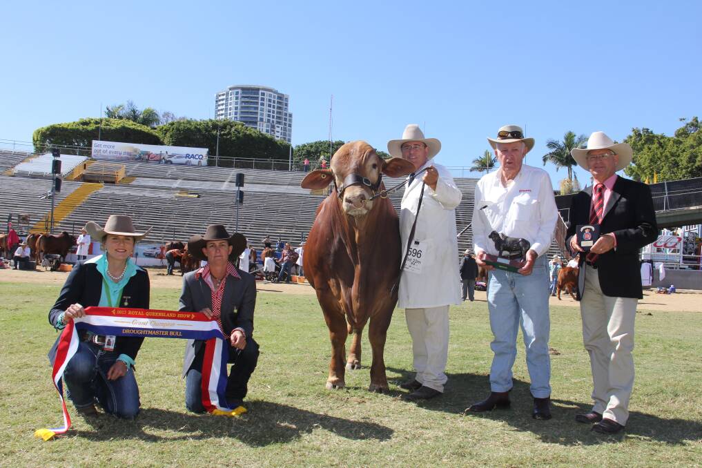 Associate judge Remy Streeter and judge Renee Rutherford with the grand champion bull, Glenlands J Velocity, owner Jason Childs and trophy sponsors Bob Baker, Wundaburra Droughtmaster stud, Dayboro and Robert Murray of Elders. 