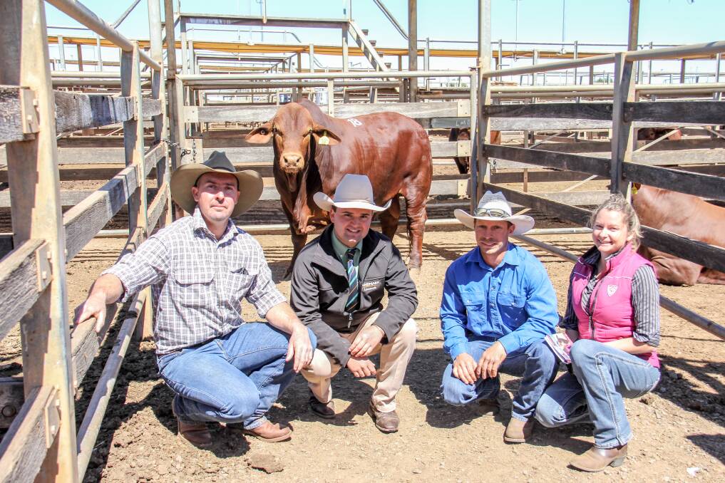 The top price bull, Glen Fosslyn Kurtz, with stud principal Cameron Salter, Landmark selling agent Jake Smith and buyers Gav and Lisa Kleidon, Guluguba. 