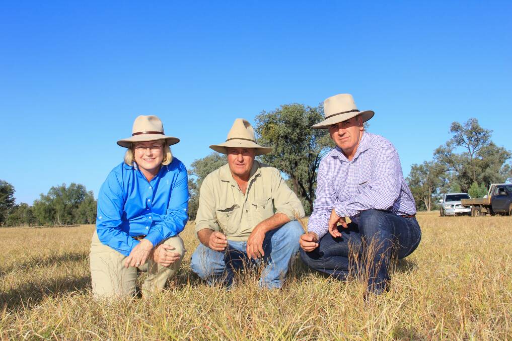 Member for Warrego Ann Leahy, Mitchell producer Rob Cornish and Shadow Minister for Agriculture, Fisheries and Forestry, Dale Last. 