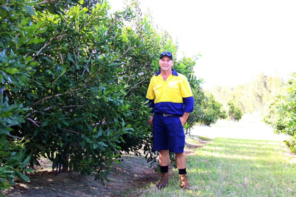 Garry Sheppard's family were one of the early growers to move to Bundaberg and establish a macadamia farm. Picture: Lucy Kinbacher