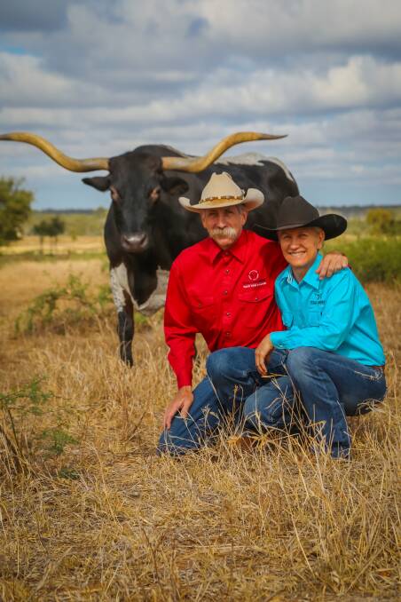 Mick and Lynda Bethel, Leahton Park, Charters Towers, with some of their Texas Longhorn herd. They will offer cattle at the 'Trails West' sale. Picture: Kel Butterworth