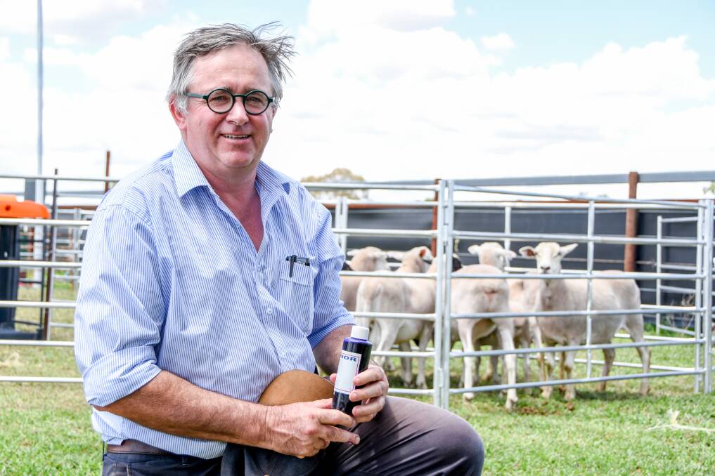Dubbo accountant John Shepherd has established a spray deterrent for sheep which he believes could see wild dogs stop attacking sheep and live harmoniously. 