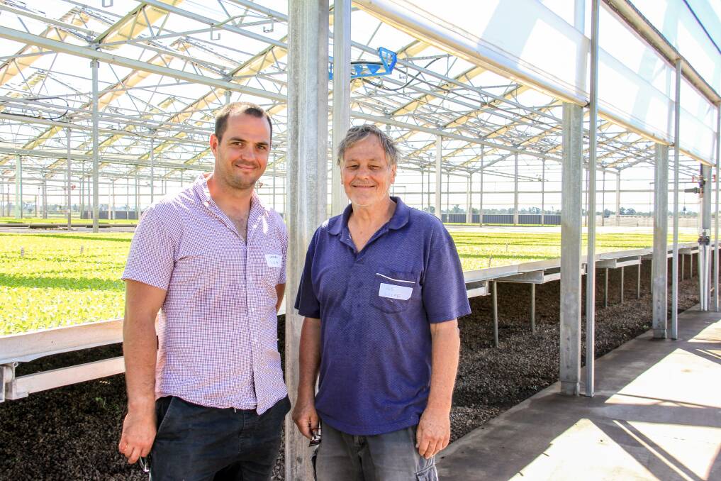 Nathan and Ole Wulff, Churchable have just purchased a property and have started growing organic produce in a small greenhouse. 