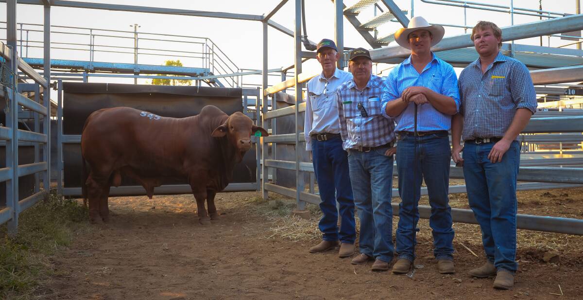 Third top price bull, Oasis A Thurston, with Munda Reds representatives Kim Goad, Mike Thompson and Ben Wright and vendor Adam Geddes (second from right). Picture: Kelly Butterworth.