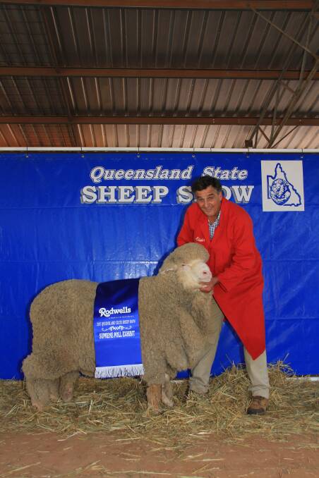 SUPREME EXHIBIT: Chris Clonan, Alfoxton Merino stud, Armidale with the Supreme Poll Exhibit and Supreme Exhibit of the Show at Charleville. 