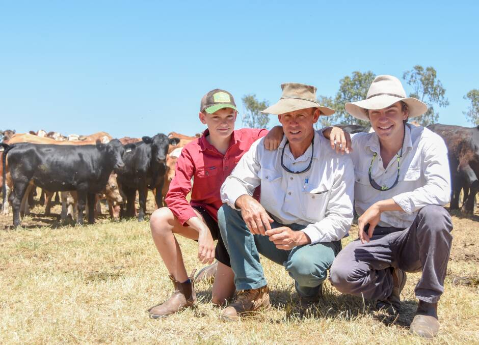 Haddon, Philip and Callum Coe with some of their cattle at Coo-ee.