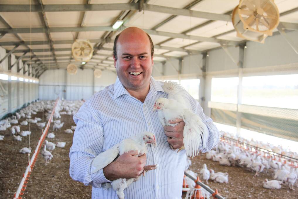 Inglewood Farms sales manager Greg Youngberry with some of their chickens. 