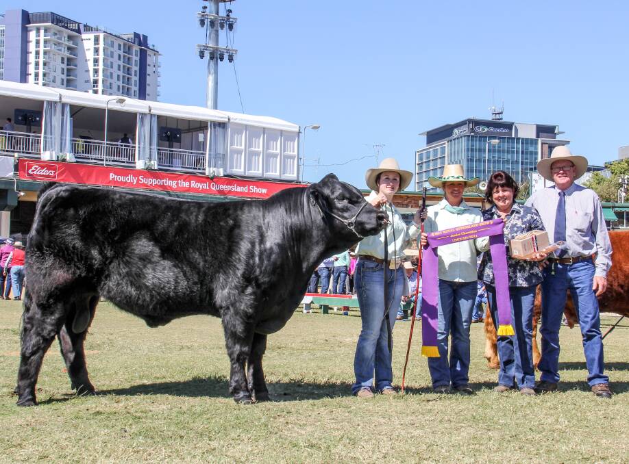 Corey didn't want to miss out on seeing their bull, Mr Pinnacle, take out junior champion in the Limousin ring. 