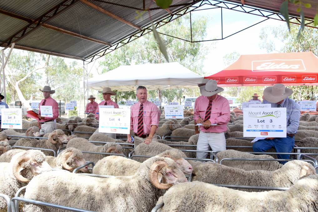 Elders selling agents conducted the annual ram sale. 