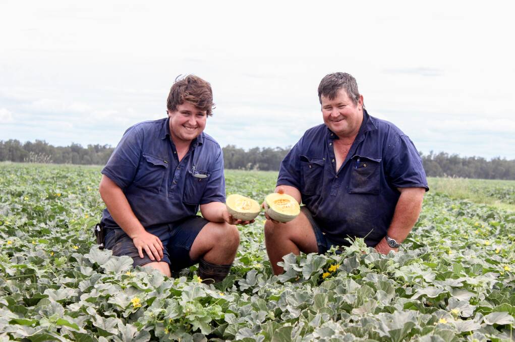 Cameron Turner (right) and his son Freddy Turner with the Infinite Gold rockmelon which they have been trialling since 2013. Picture: Lucy Kinbacher