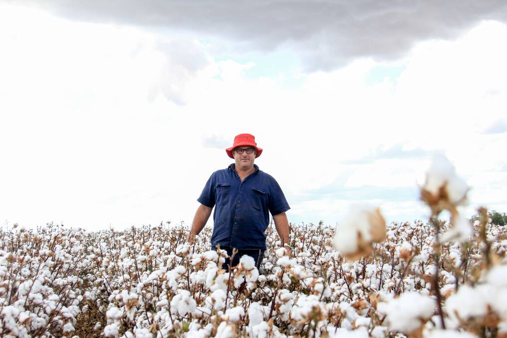 Scott Brimblecombe, Ashwood Farms, St George with his cotton. 