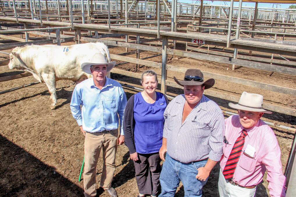 David Sullivan, Riverglen Charolais, Krystle and Andrew Hartley, Hartley Grazing, Mitchell, and Elders agent Blake Munro, with the second top priced bull, Riverglen L2107E who sold for $5000. 