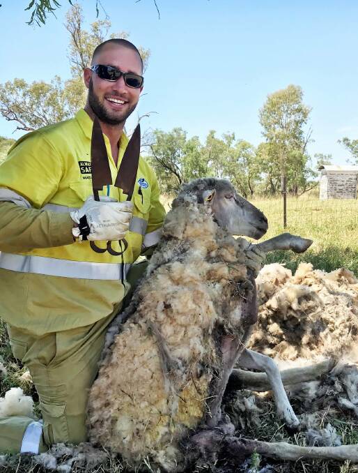Ergon Energy Roma worker Ben Ridge came to the rescue of a pregnant ewe. Picture: Ergon Energy