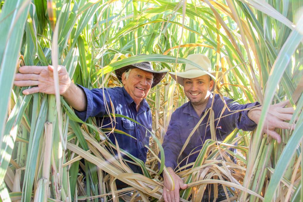 Greg and Brendan Seymour, Carnarvon, Byrnestown, with their cane trial plot. Pictures: Lucy Kinbacher