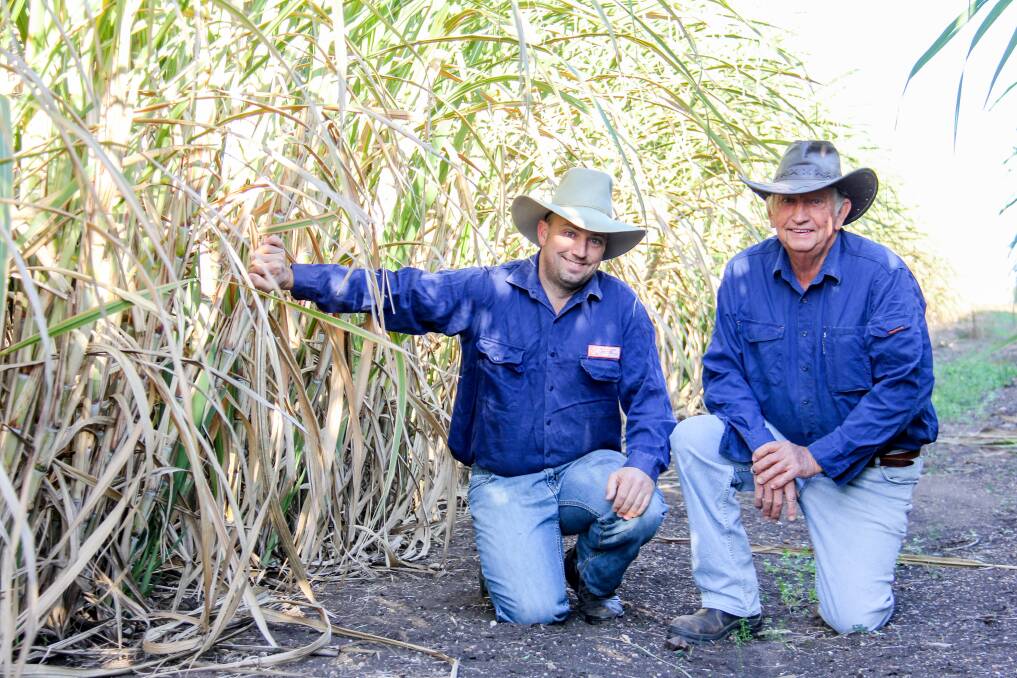 Brendan and Greg Seymour, Carnarvon, Byrnestown, with their first cane crop as part of the Isis Central Sugar Mill feasibility study to grow cane in the Gayndah region. 