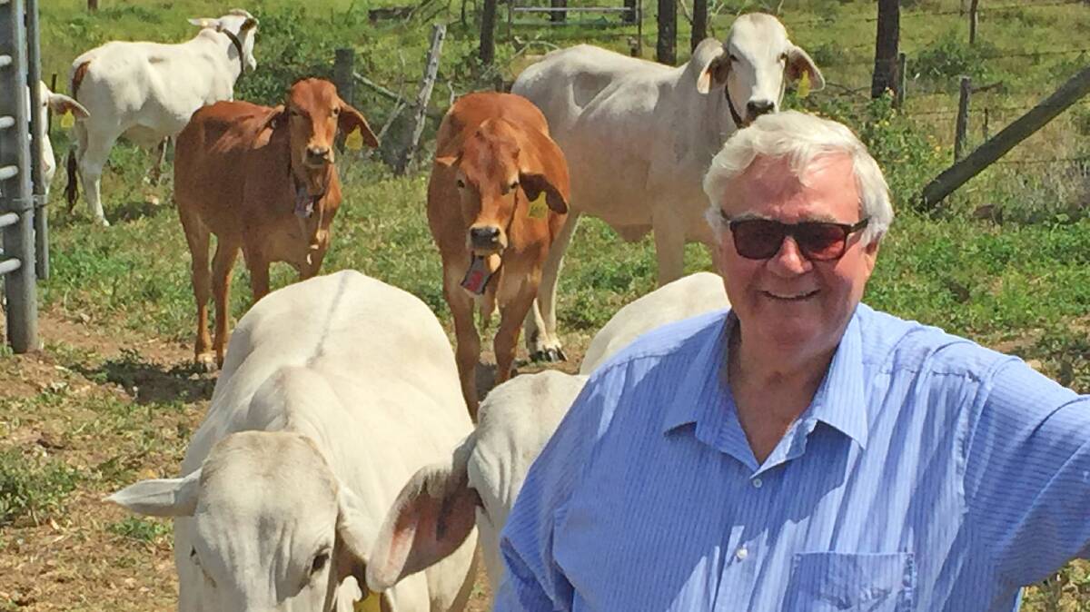 RESEARCH: Internationally-renowned cattle endocrinologist Jim Kinder will work with CQUniversity’s Precision Livestock Management team for the next 12 months. 