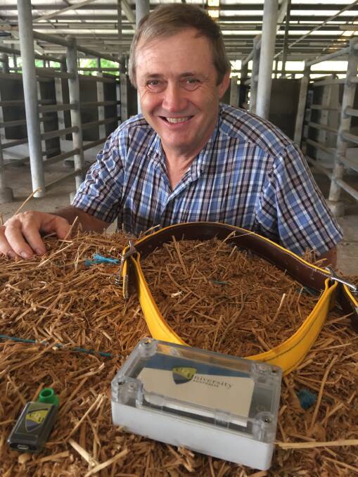Professor Derek Bailey is tackling animal welfare challenges in extensive production systems using digital technologies.