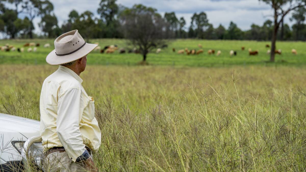ON THE MARKET: New Farm will be auctioned by Ray White Rural in Brisbane on March 16.