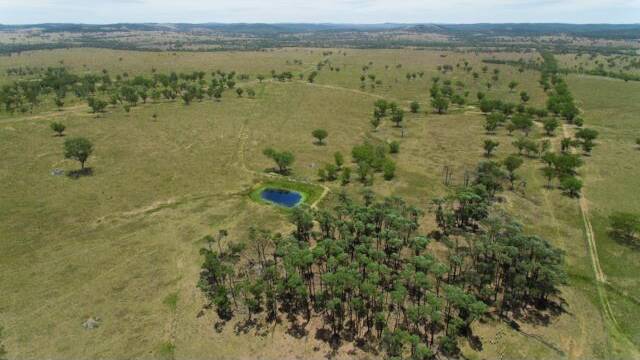 MARCH 10: The Traprock property Barongarook will be auctioned by Ray White Rural in Brisbane.