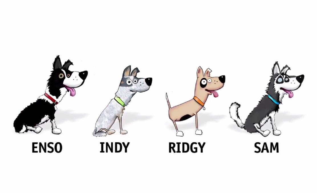 WEATHER EXPLAINED: Meet Australia's four new national climatedogs.