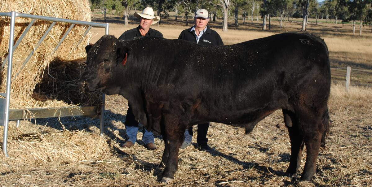 SALE TOPPER: Breeder Mick O'Sullivan and buyer Les Flohr, Ellendale, Clermont, with the $15,500 equal topped price bull O’Sullivans Lousiville L41.