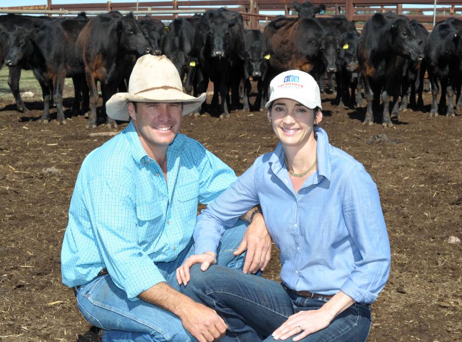 BETTER BEEF: David and Anna Wells say they plan to increase breeder numbers in direct response to the incredible and seemingly sustained lift in cattle markets.