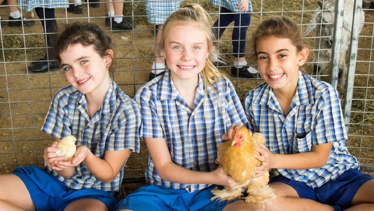 RURAL DISCOVERY DAY: Sophie Carew, Zaylee Spohn and Dallas Hill (9) from Our Lady of Assumption School at Enoggera, were all smiles in the Farmyard Friends exhibit.