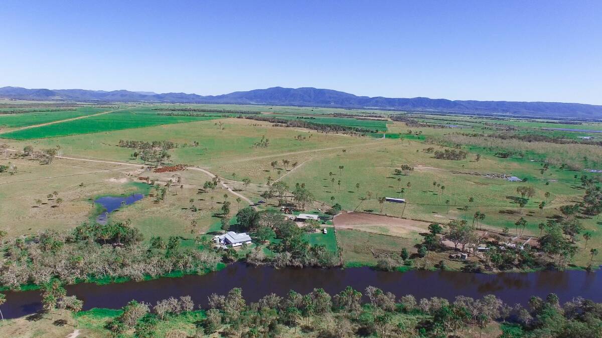 Tedlands sold under the hammer for $9.1 million at a Hourn and Bishop Qld auction in Rockhampton on Tuesday.