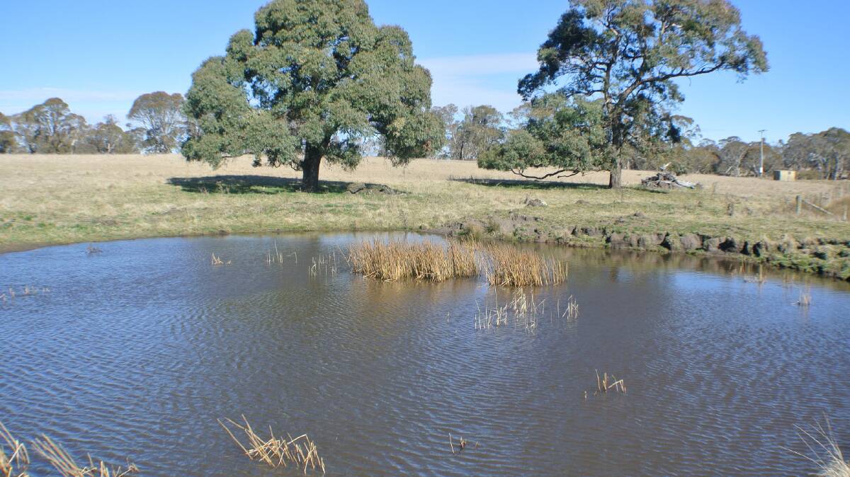 WELL WATERED: Braeside has 76 paddocks with 94 dams. There is also a 100 megalitre storage dam with pump and underground mains providing an opportunity for irrigation. 