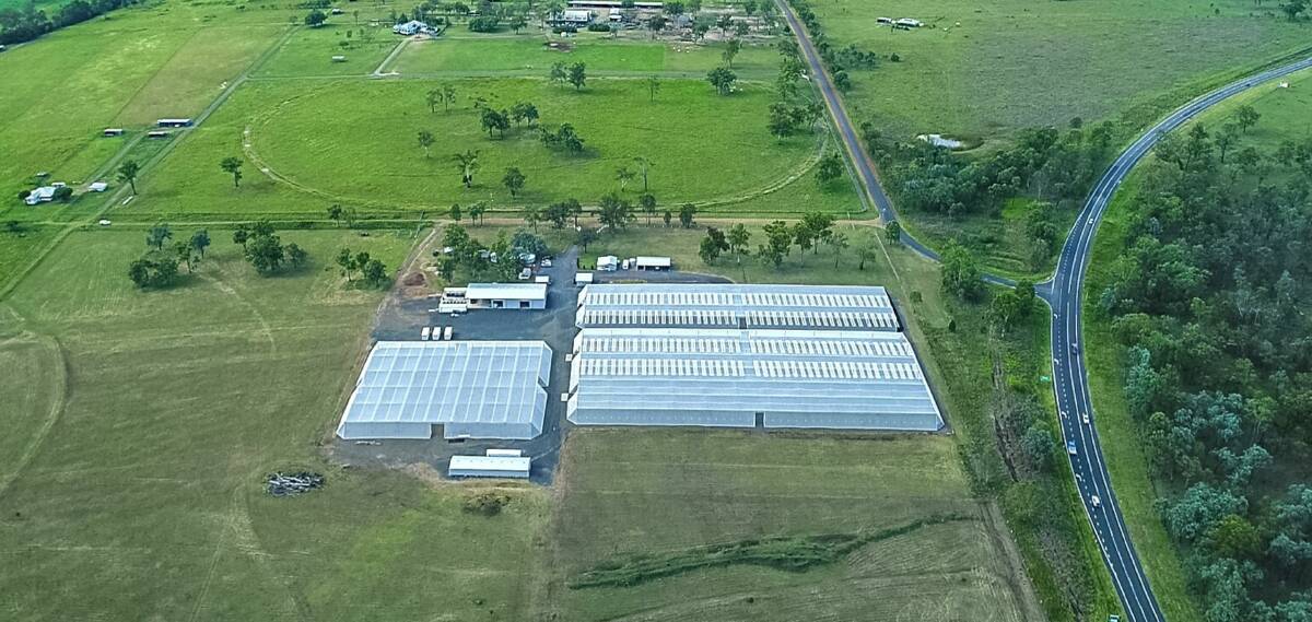 SCENIC RIM: Southern Cross Hydroponics at Mutdapilly is on the market.